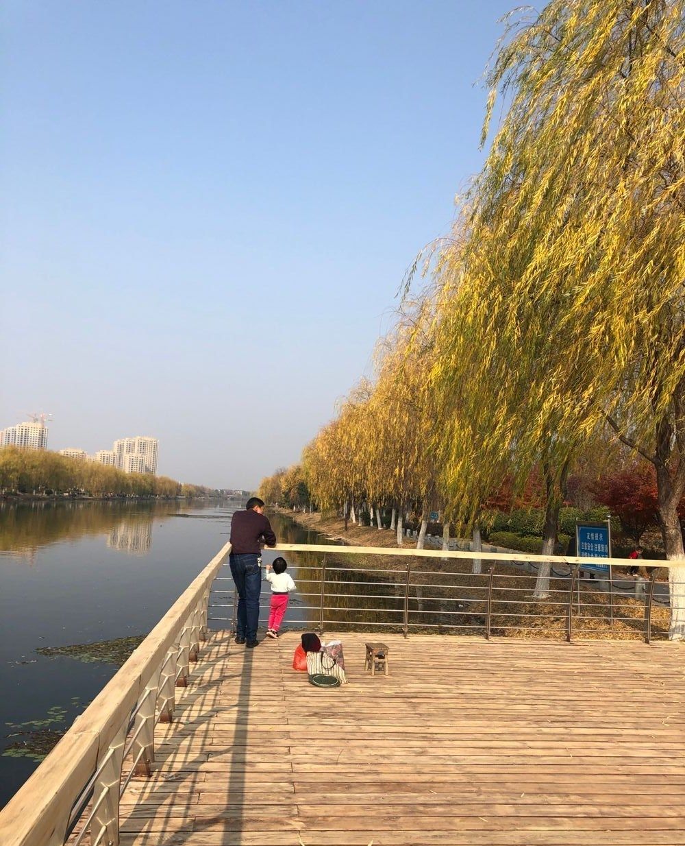 黄梅新县河一河两岸图片