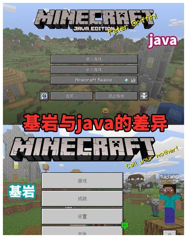 我的世界 请指出基岩与java的差异 萌新说界面 细节帝 还不够 基岩 海龟蛋 花盆 新浪新闻