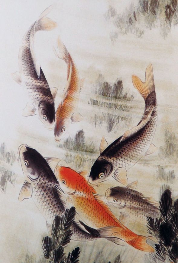 画鱼高手擅画鲤鱼迟明国画作品欣赏