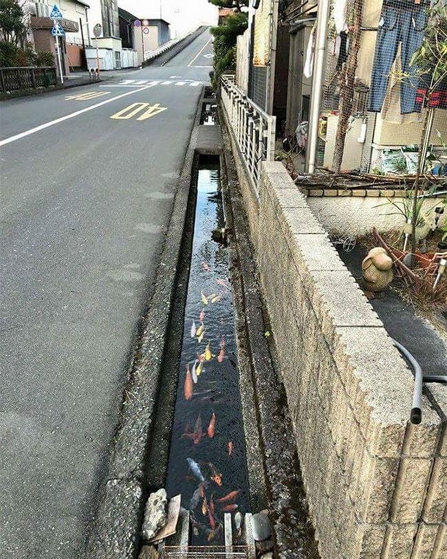 野水沟夜间治安现状调查分析及治理难题与破解方案