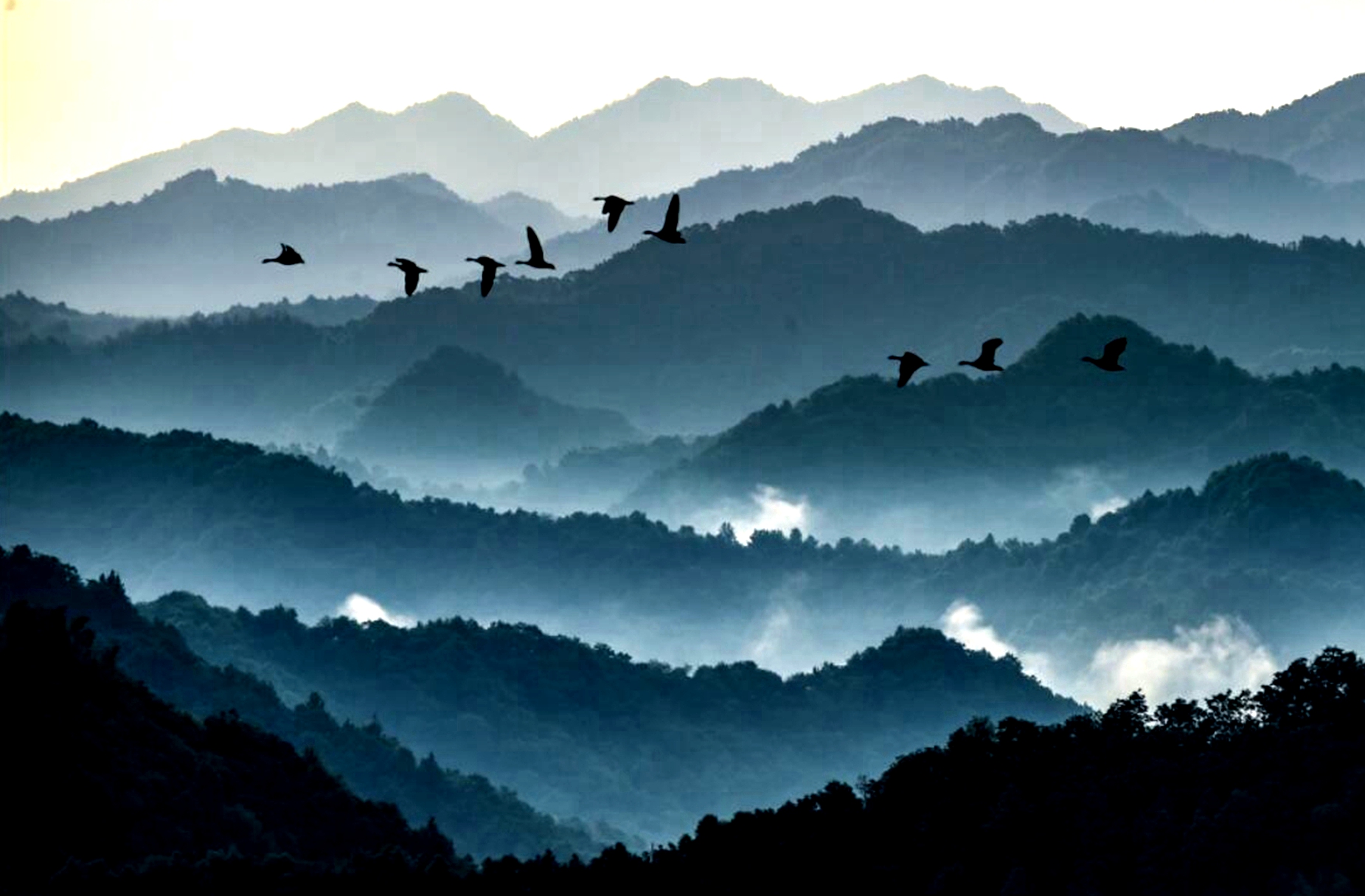 华东第一个摄影家村:风起云涌水墨屋脊山
