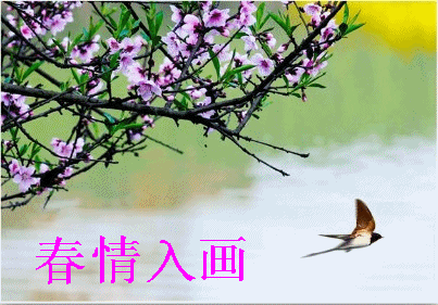 403_281gif 动态图 动图