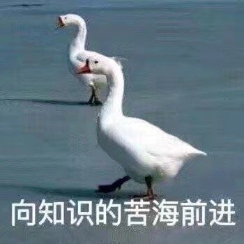 表情包:我好脆弱啊|表情包_新浪新闻