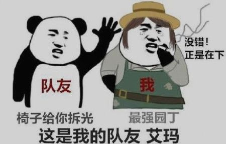 《第五人格》最搞笑的表情包:图1装逼必备,图5堪称机皇!