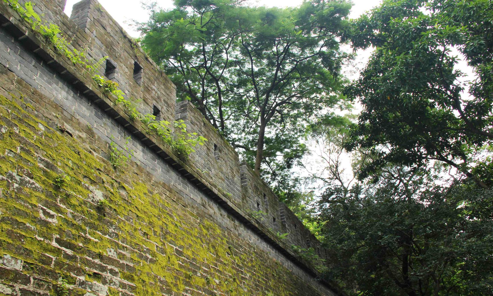 越秀公园明代古城墙图片