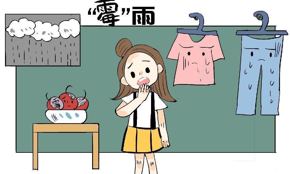 屋里潮湿，家电如何防潮除湿？|电视机|微波炉|洗衣机|墙面|冰箱_新浪新闻