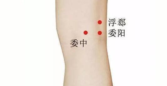 中医养生:一不小心闪了腰,弹拨2个穴位可缓解|穴位|腰部|腘窝_新浪