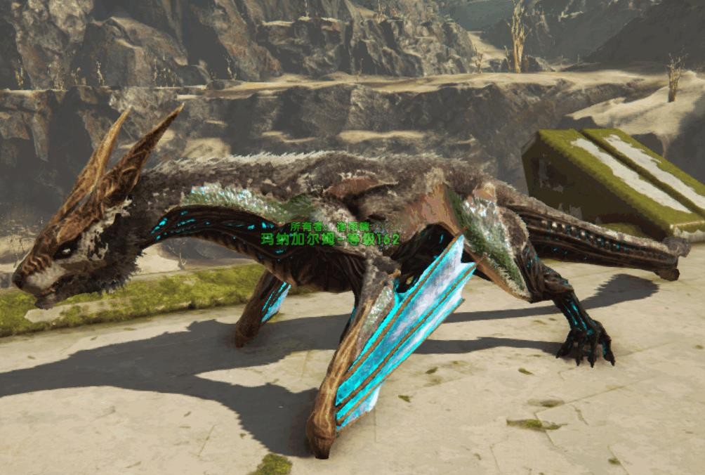 小编今天介绍的是玛纳加尔姆!