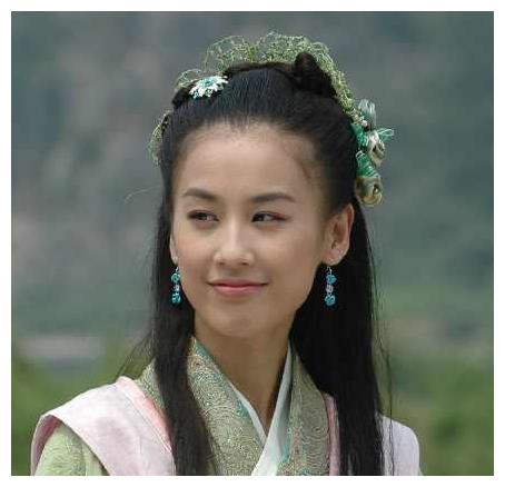 2007年黄圣依和杨子主演的电视剧《天仙配》获得中央电视台电视剧频道