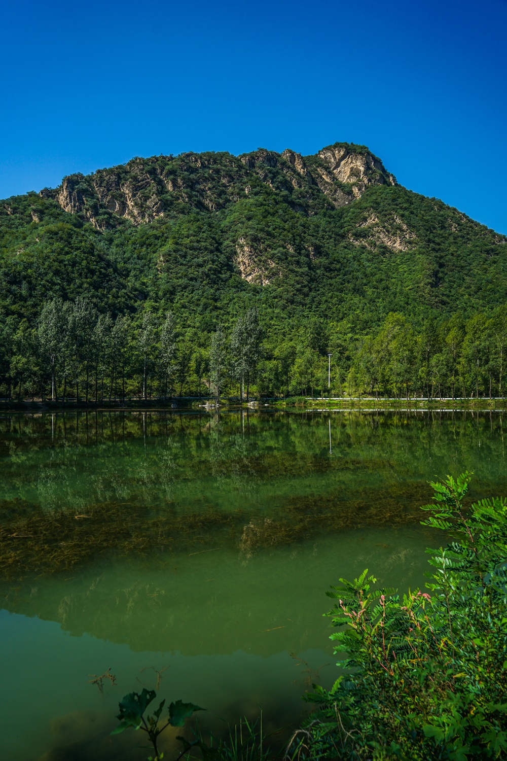 百里山水画廊-四季花海游记