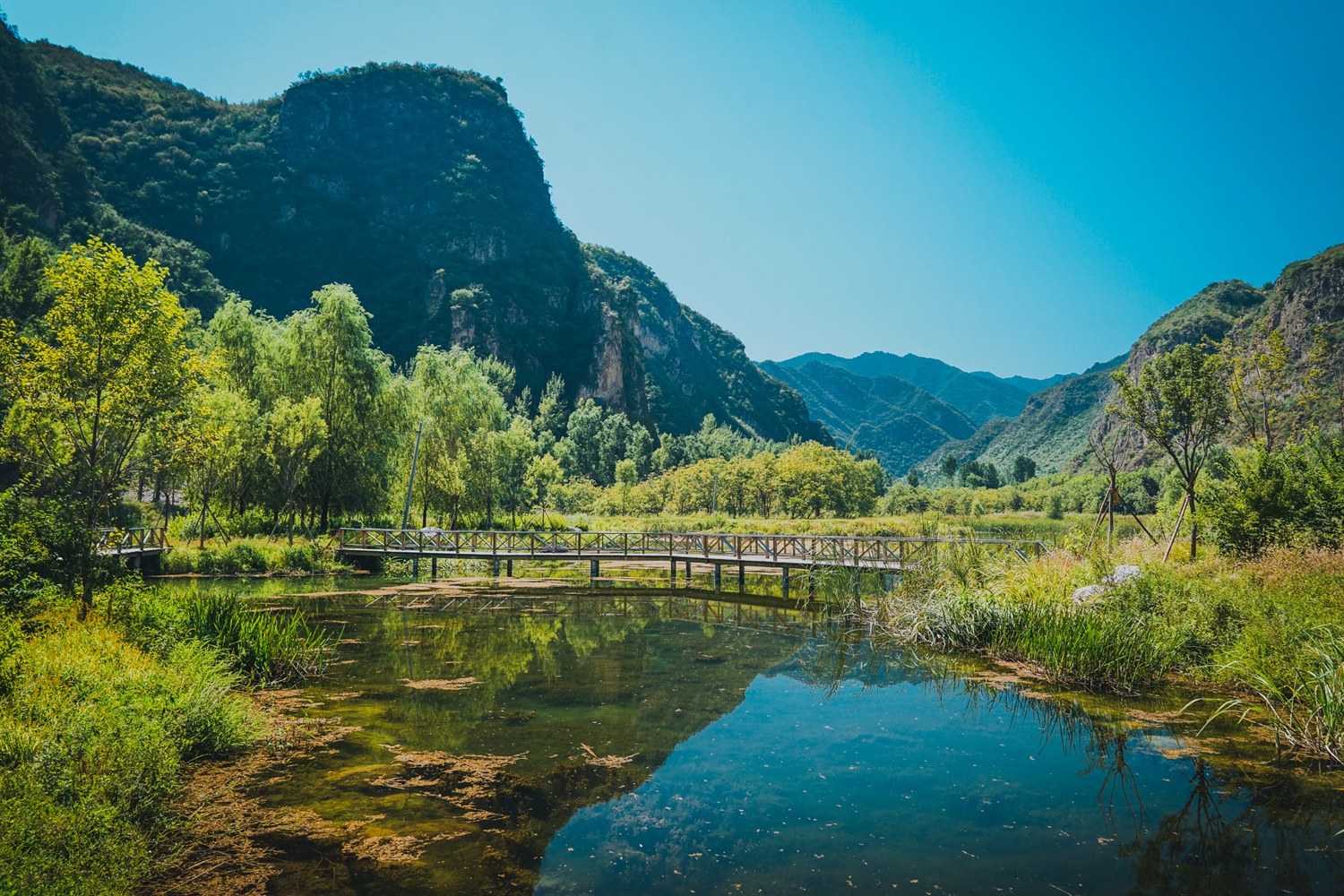 百里山水画廊-四季花海游记