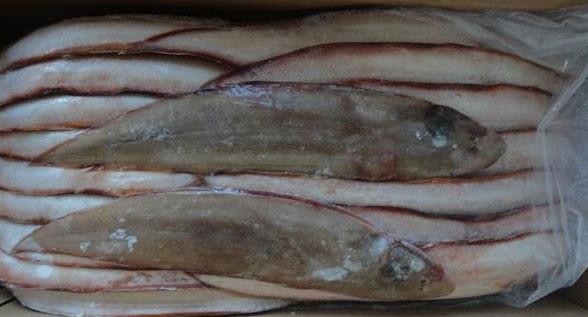 以前村里河边经常见的鱼, 现在一种没人吃, 还有的快绝种卖上天价