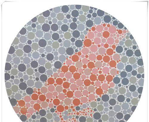 测试的方向:红色觉异常图中的色差相对来说还是比较大的,所以识别起来