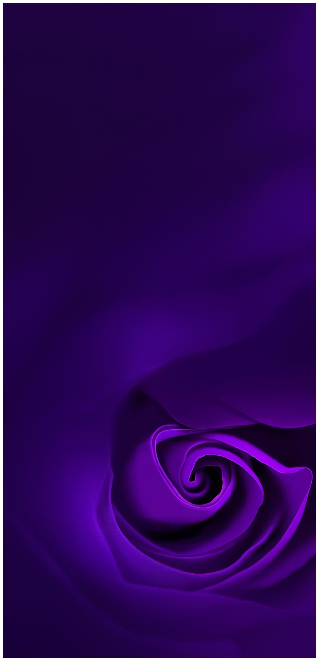 手机壁纸oppor11壁纸鉴赏