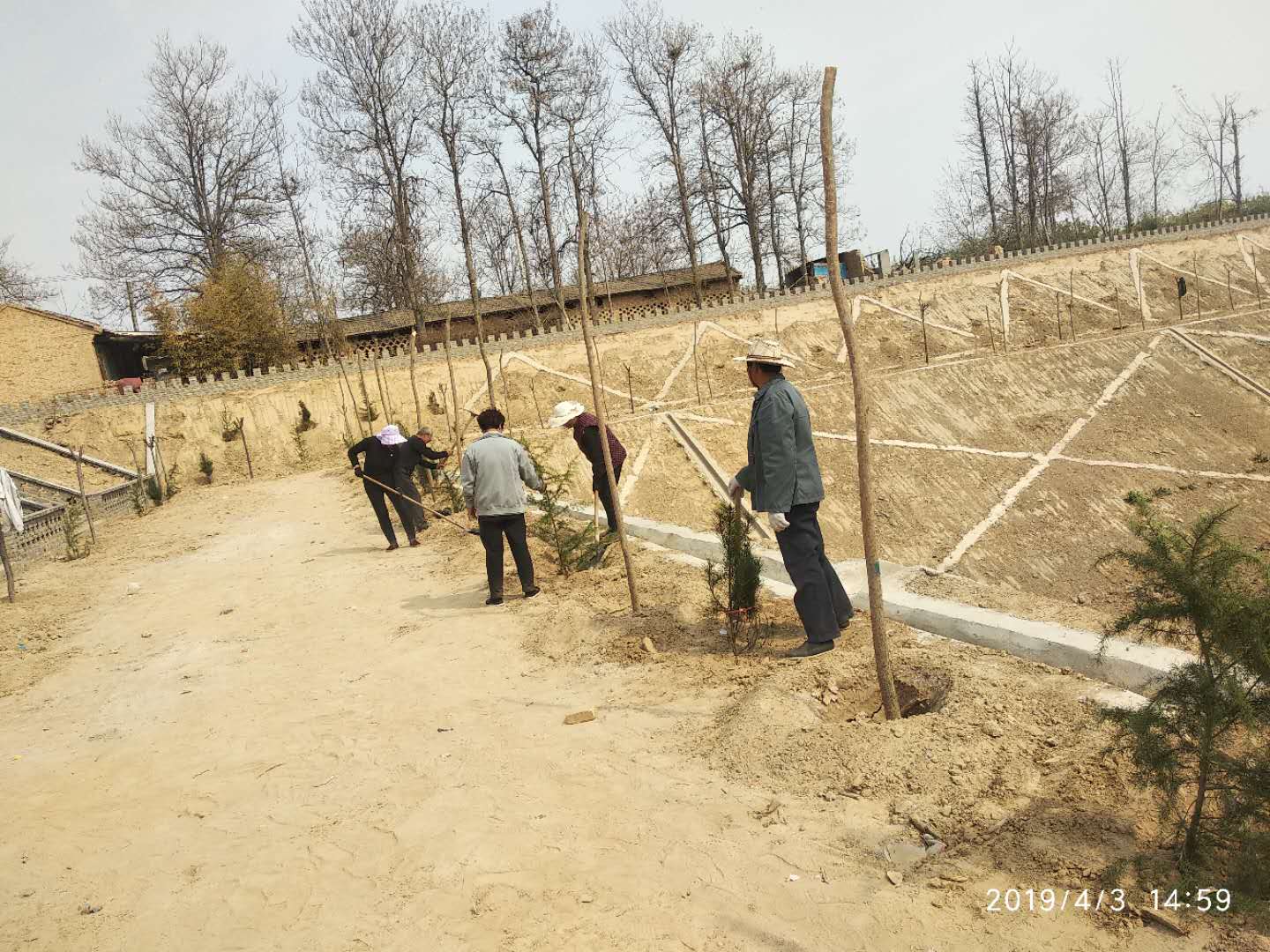 蒲城龙阳镇蒲石村:实现全域绿化,打造美丽乡村