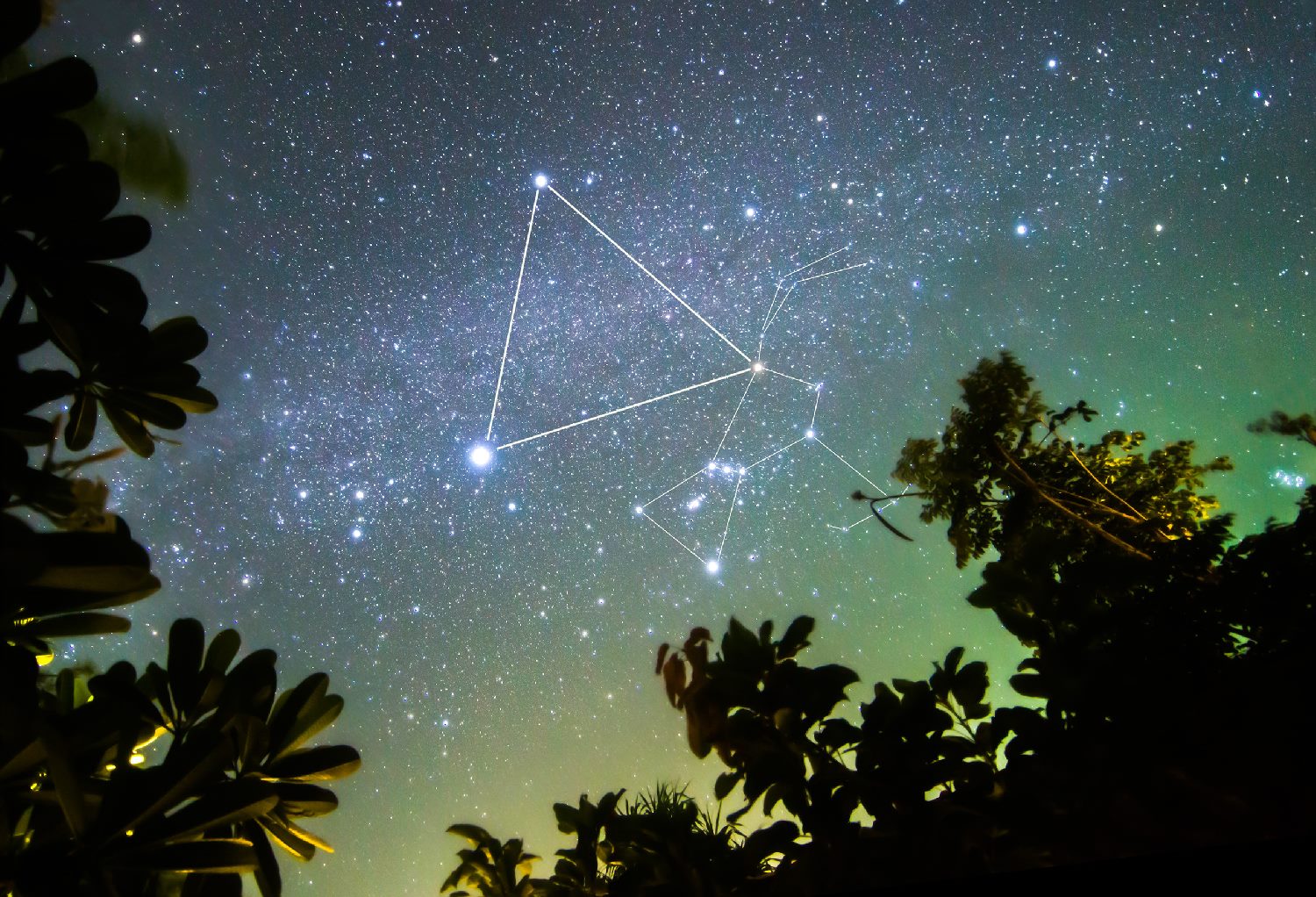 就是著名的冬季大三角,它们分别叫做大犬座的天狼星,小犬座的南河三