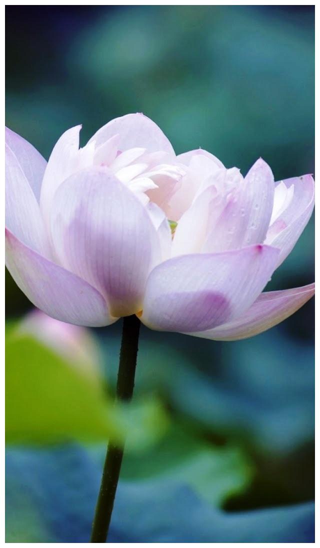 父爱简短走心的句子 父亲节走心文案推荐