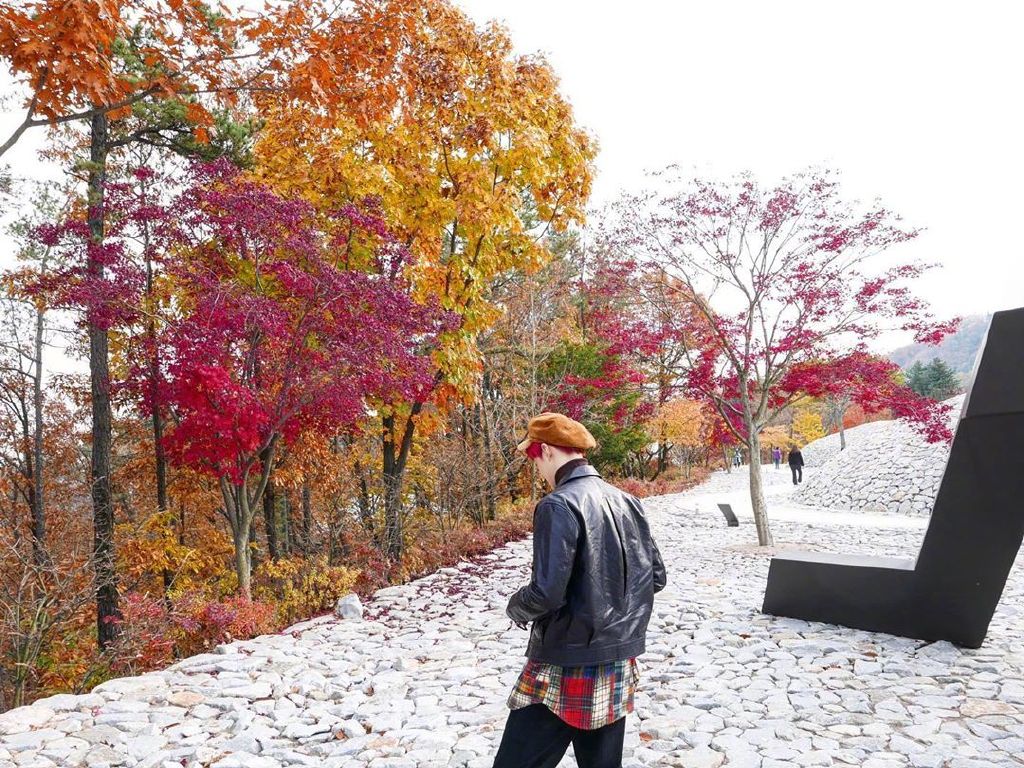 EXO金俊勉公开以红叶为背景的照片 秋天过去了金俊勉来了