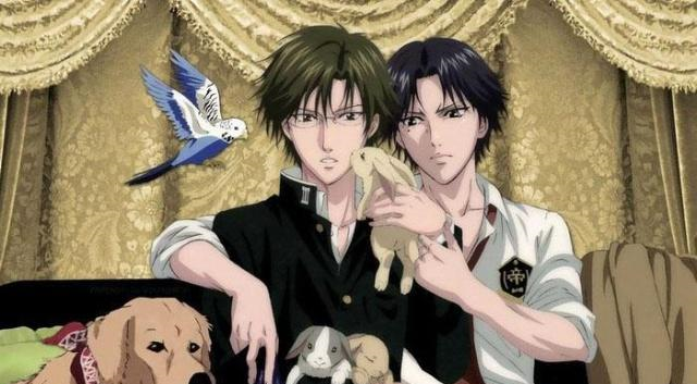 网球王子最佳cp组合你站谁我铁定站手冢不二