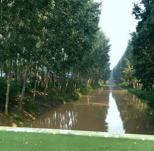 古老的传说 新乡"八里营"