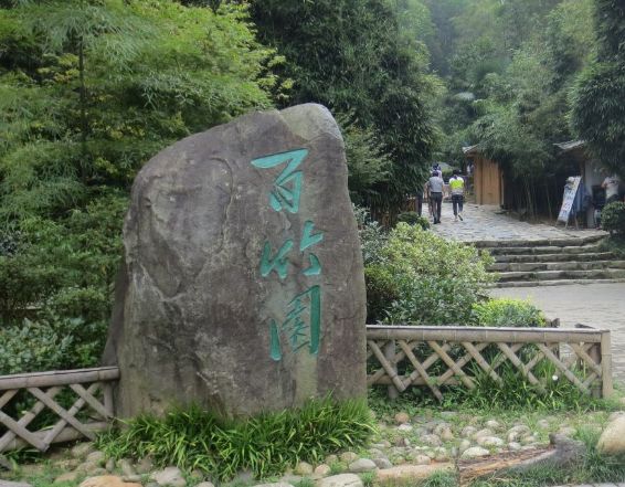 井冈山百竹园,位于井冈山上井村,以观赏和休闲为一体的旅游胜景