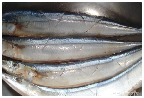 秋刀鱼|鱼|日本人_新浪新闻