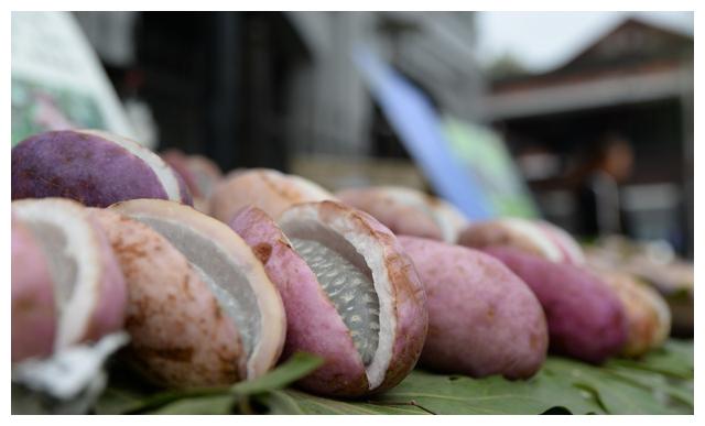 这野果被称为"狗腰子" 在农村被嫌弃 但在城里能卖到脱销!