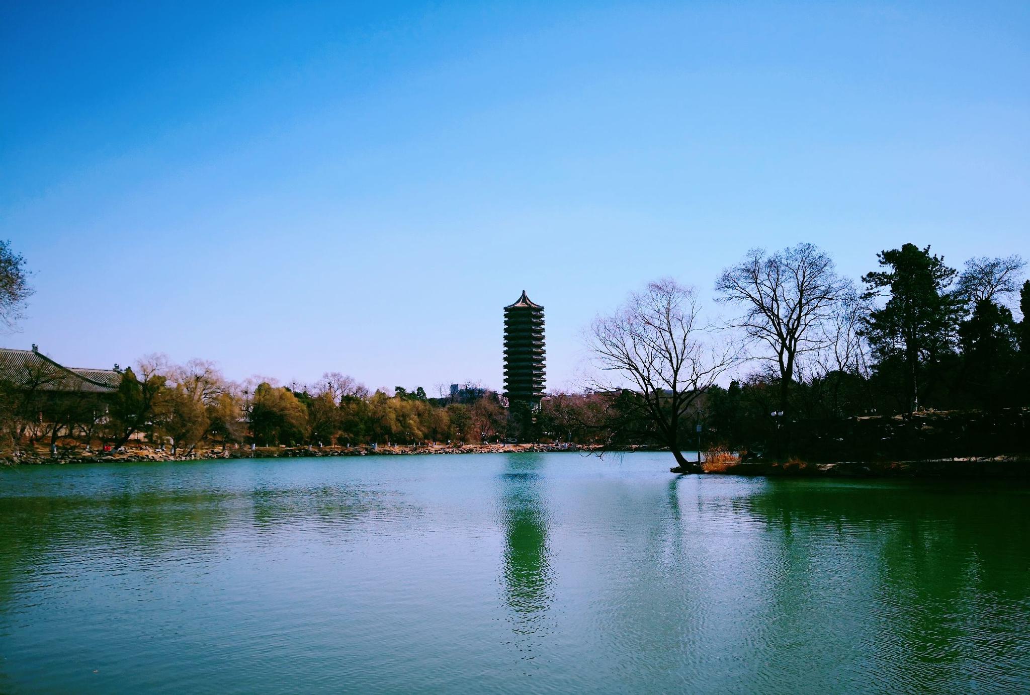 惊蛰北京大学的春色原来这样美