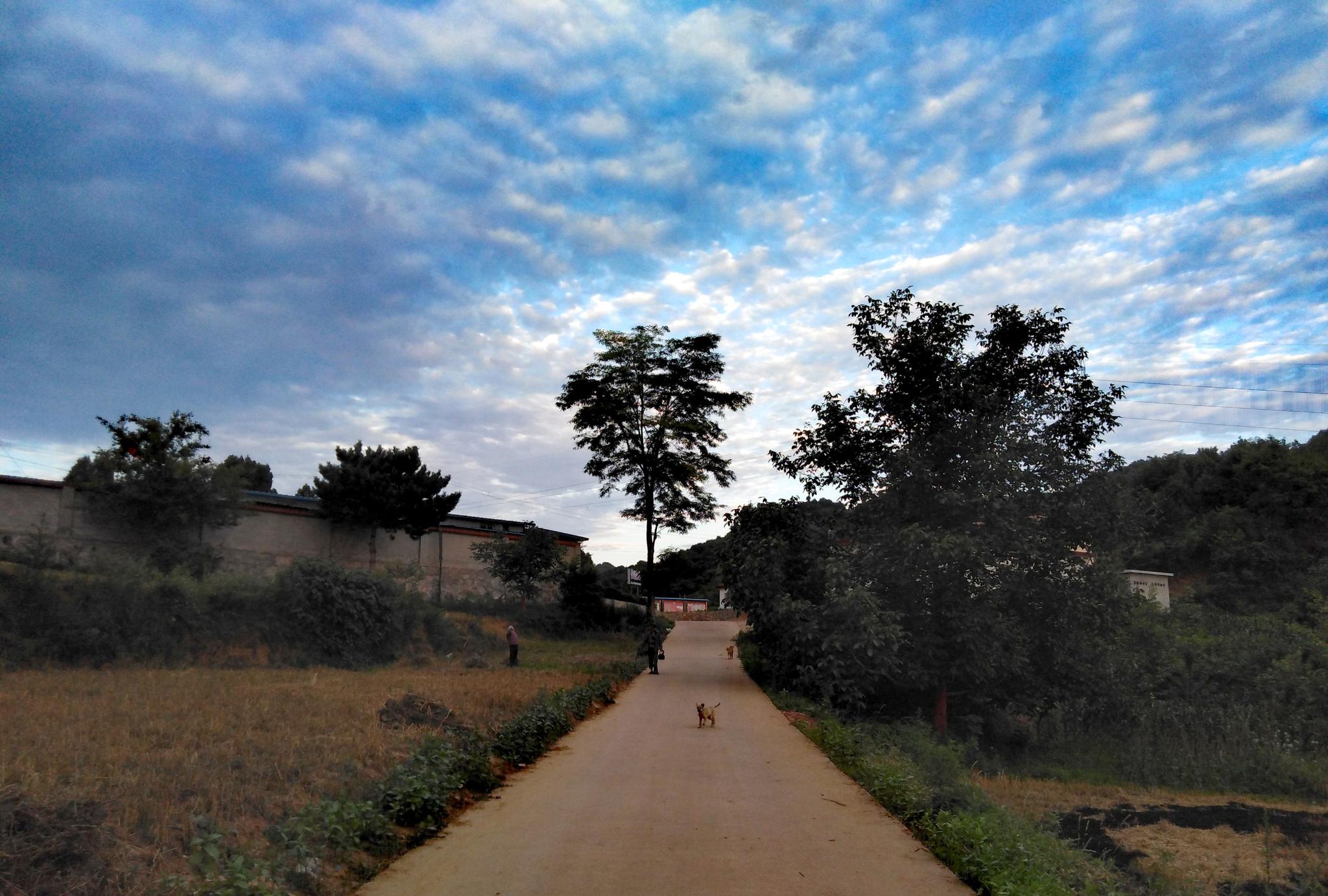 美丽乡村——陇南成县沙坝镇闫山村
