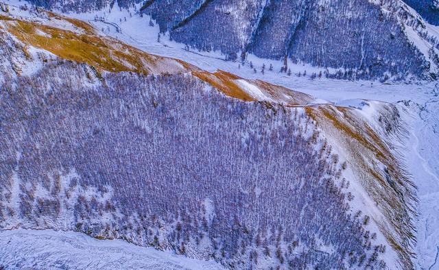 新疆最美的松树沟,沟深林密,风光旖旎,壮丽景色令人叹为观止