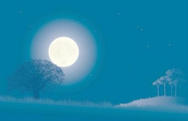 儿童诗:初月如弓未上弦,分明挂在碧霄边