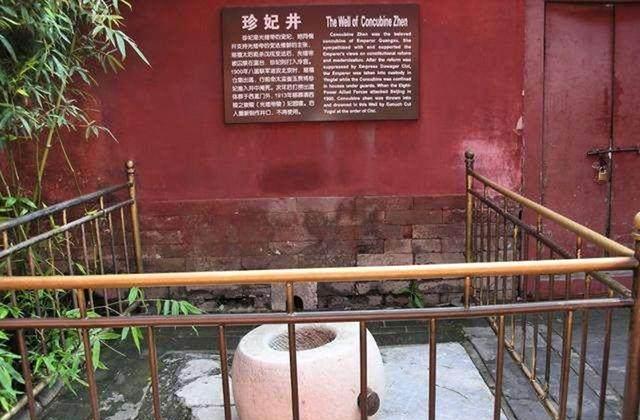 看她的照片后所有人一目了然|珍妃|光绪|瑾妃_新浪新闻