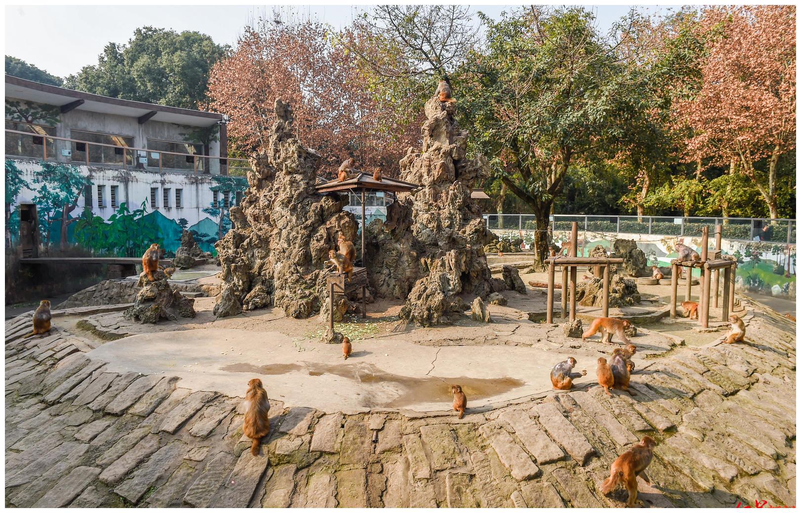 成都市动物园 图据icphoto3,驷马桥,昭觉寺横路出城方向车辆分流至