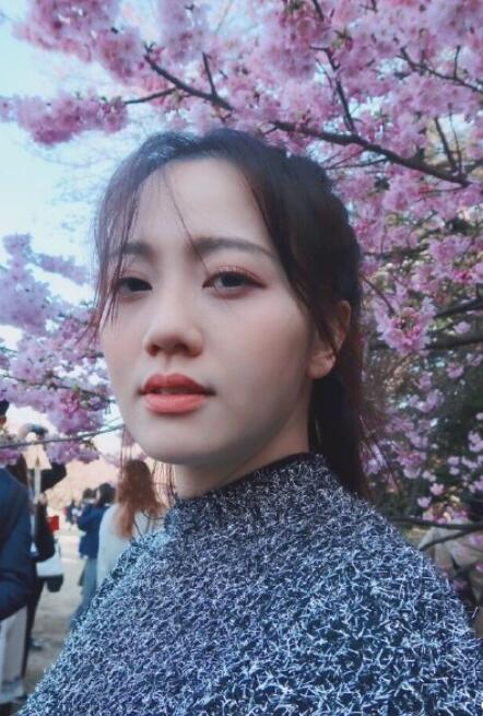 后来,陈美心将事业转回新加坡,重新返回歌坛发展,近几年已很少与师父