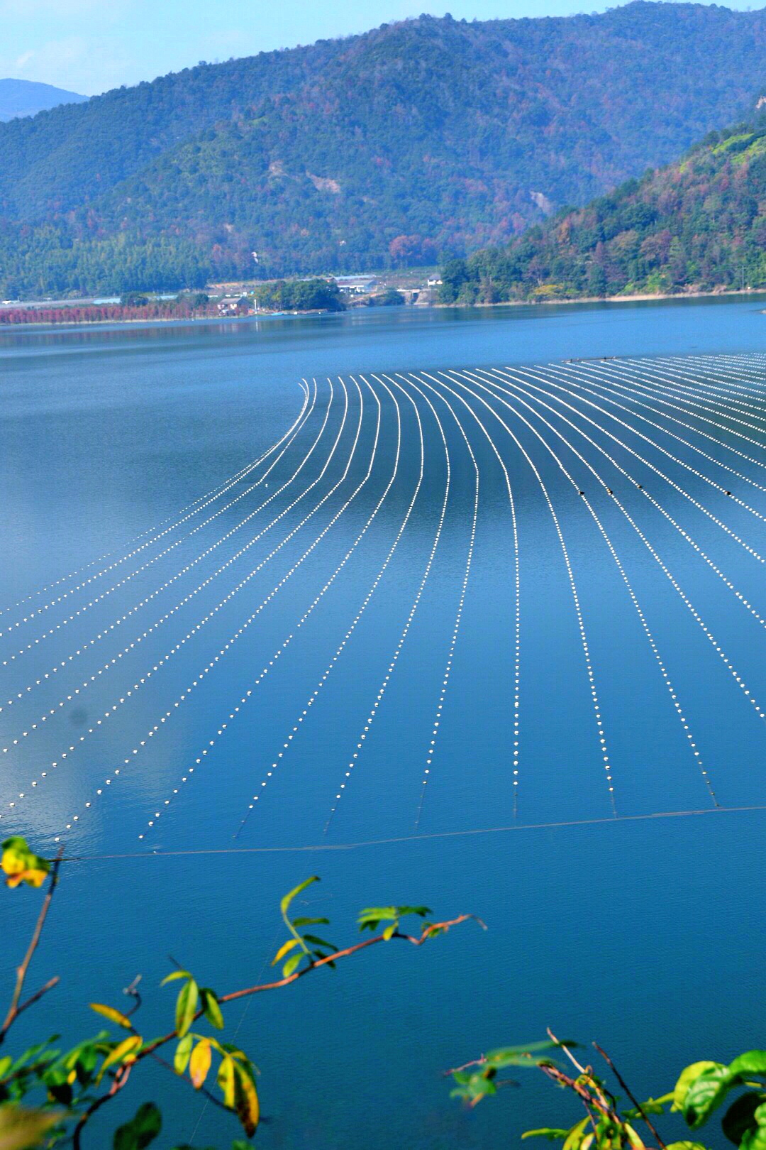 美丽幽静的太湖水库(原创/二)