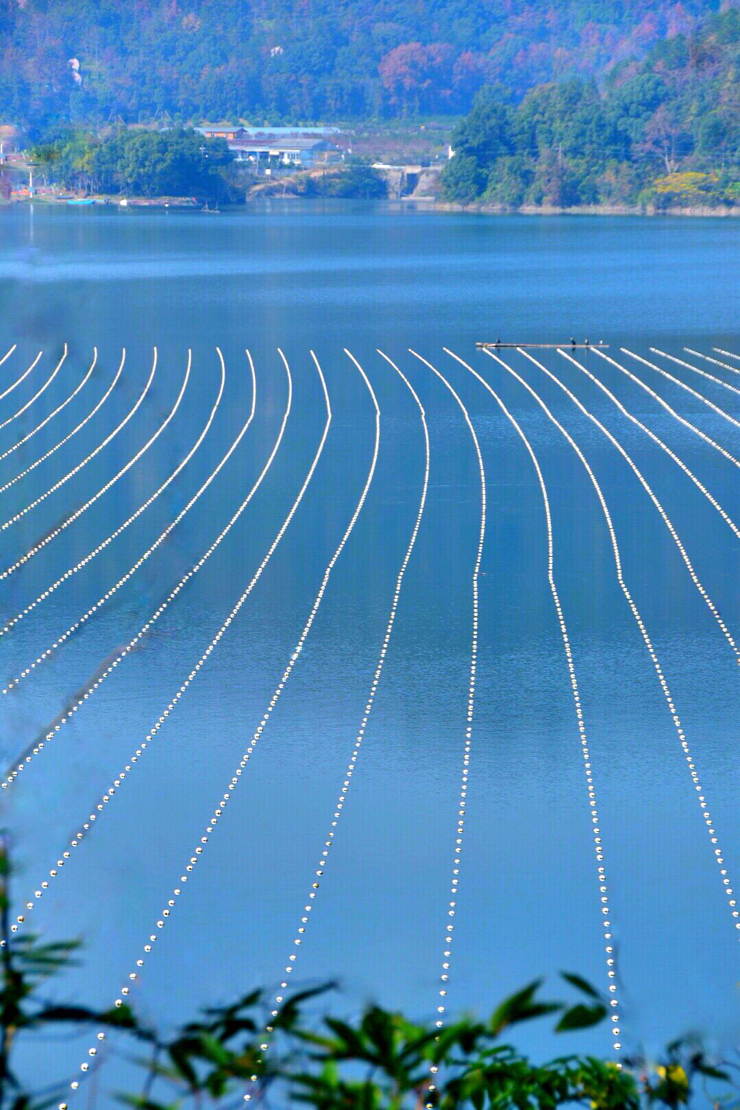 美丽幽静的太湖水库(原创/二)