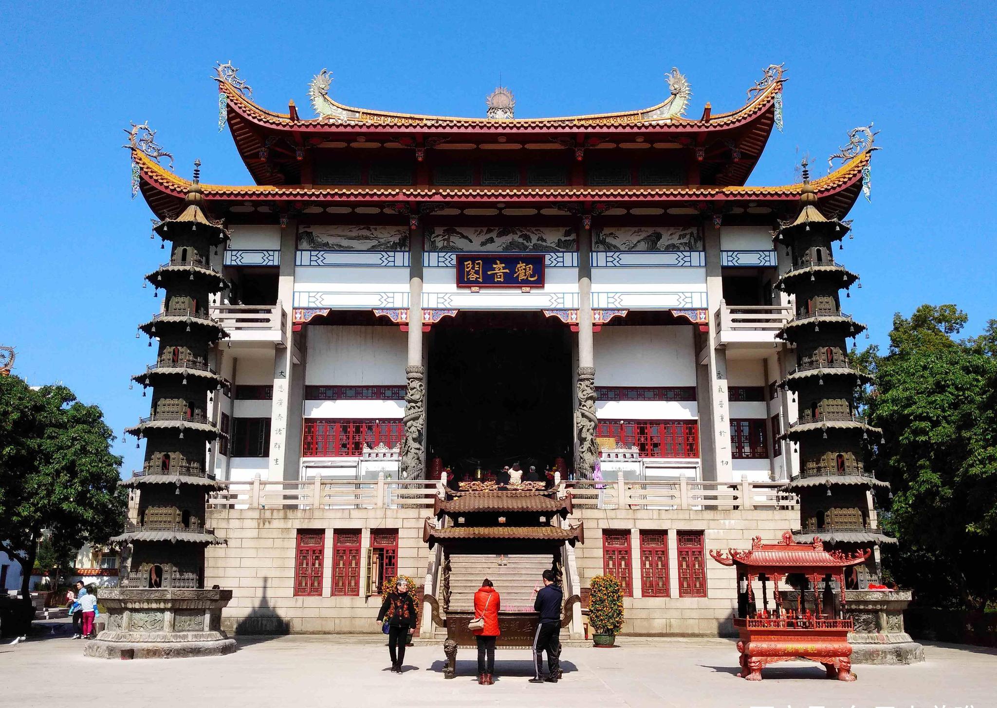 福州一座寺庙,有一棵宋代荔枝树,顽强存活千年每年结果