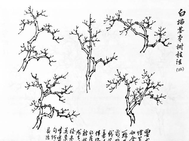 怎样观察树木,怎样写生画树?