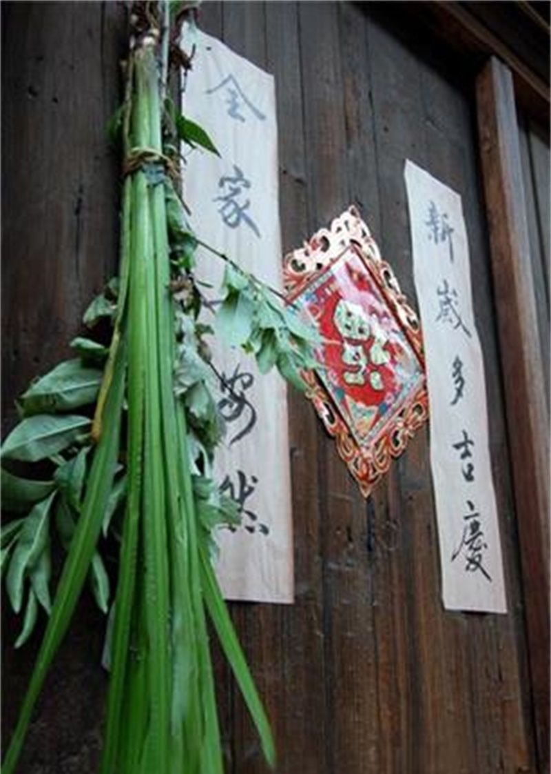 民谚说:"清明插柳,端午插艾".