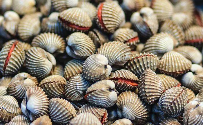 东山人过年围炉必吃的一道菜—血蚶