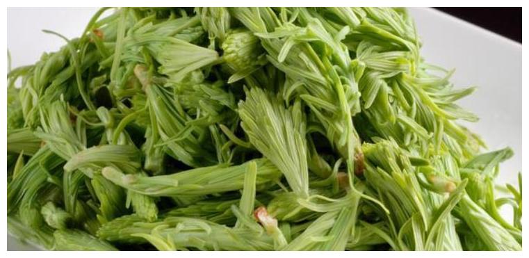 云南一种特色野菜,两天漂洗后才能吃,有独特的松子香味吃过吗?