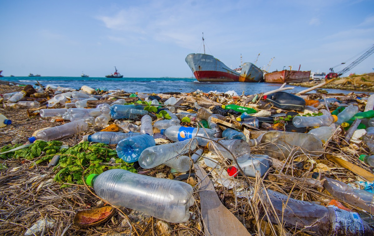 溯源体系建设指导垃圾分类,同样为环境保护的长久大计出力