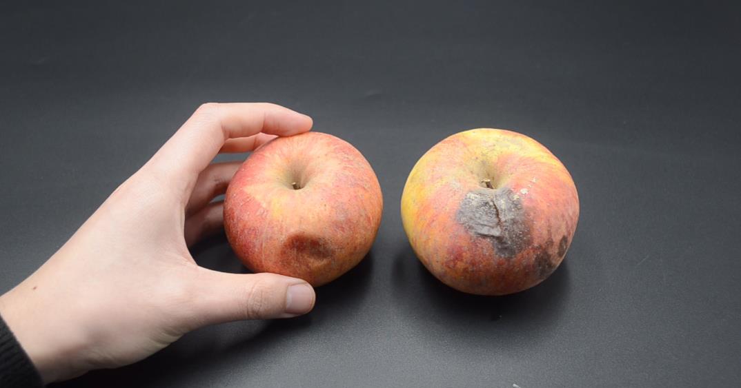 苹果烂了一小块,削掉以后,剩下部分能不能吃?好多人还不清楚