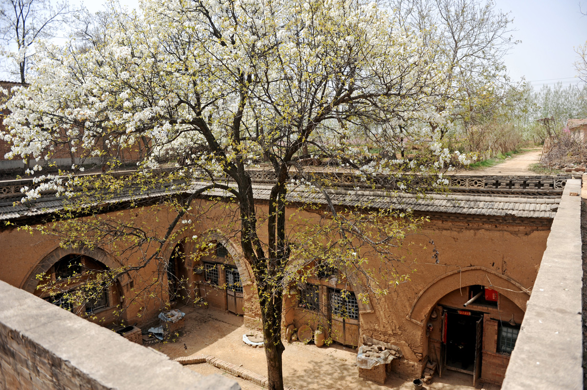 7旬老人拟售藏在地下的民居,出价一亩地5万,可供10余人居住