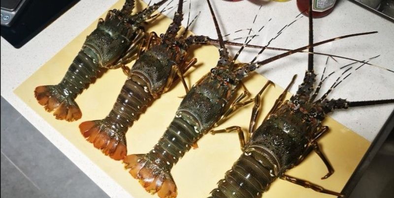 清蒸小青龙,过节必备