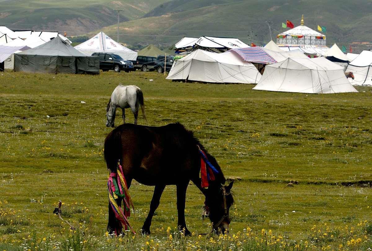 征了的地政府没用自己还能不能盖篷子?