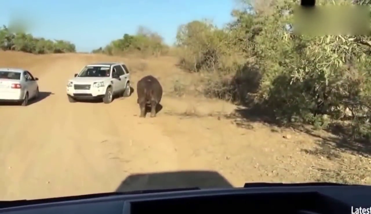 JALALS团队公仔恶作剧合集,一个个都超级搞笑