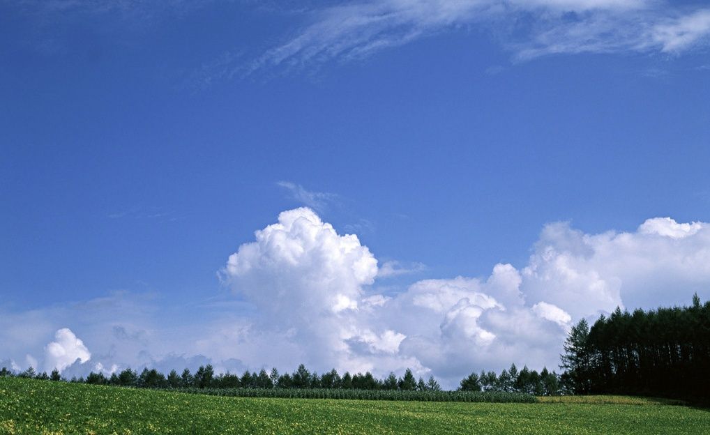 风景如画,如沐春风!