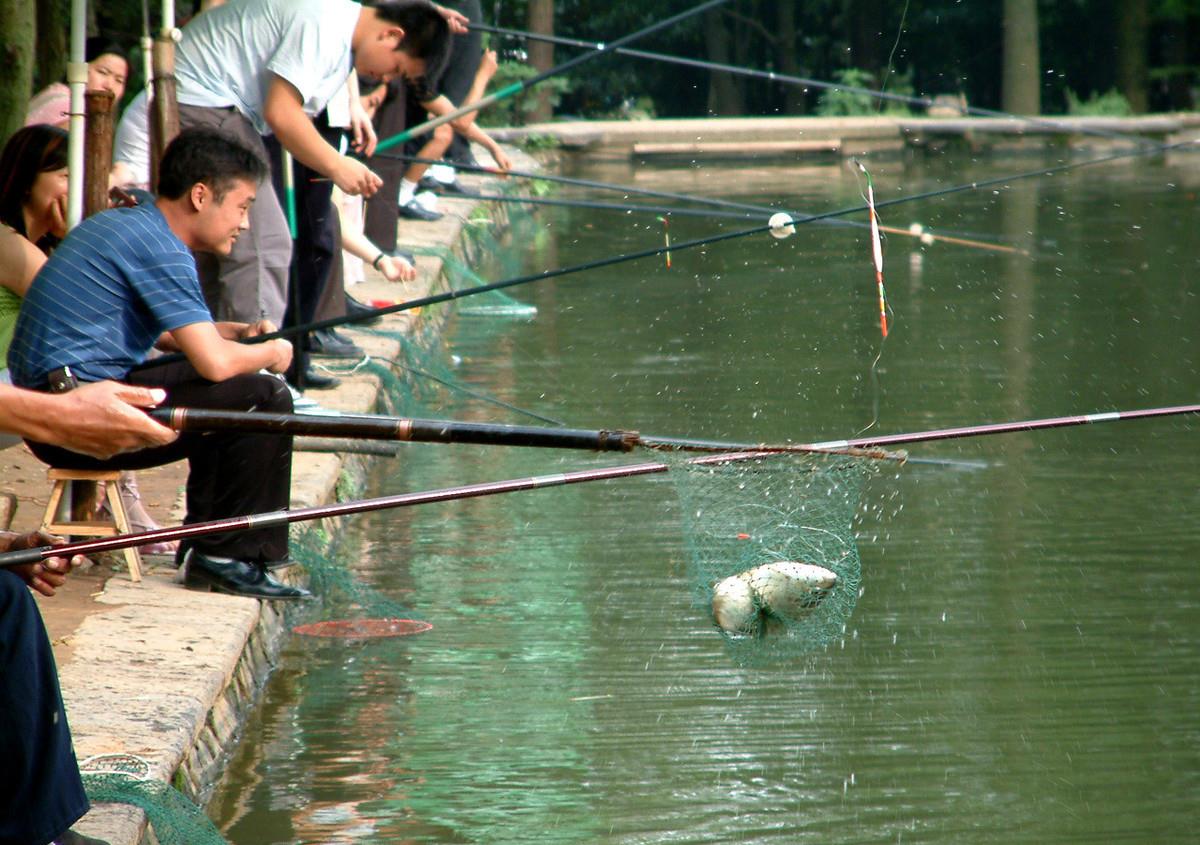 钓鱼时偷放2滴小药,整个水库的鱼全聚过来,难怪鱼塘老板都禁用