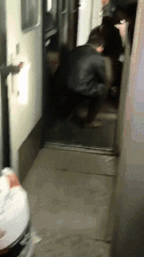 搞笑GIF：大家不要上当，又想骗你们改行，擦皮鞋！|老爸|U盘|老妈_新浪新闻